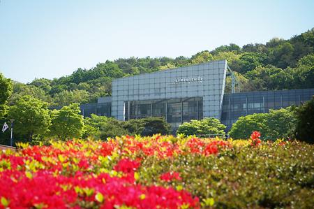 천안캠퍼스의 봄 