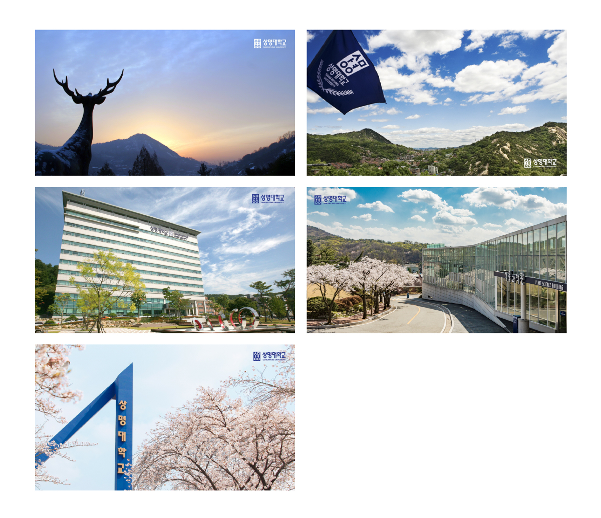 대학전경 배경화면